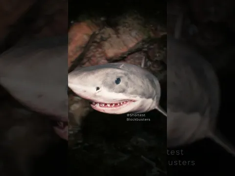 The Ocean is Broken | POV 05 #shorts #thalassophobia #thalassophobic