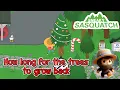 Sneaky Sasquatch - How Long in order for the Trees to grow back