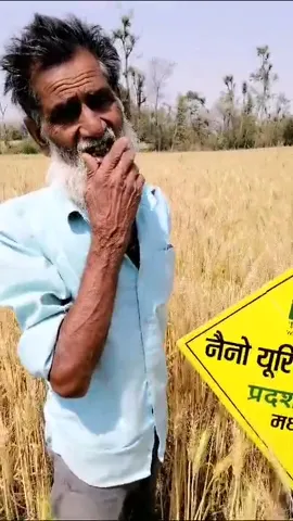 टीकमगढ़ के मोहम्मद रफीक ने गेहूं के लिए कौन सी खाद बताई उपयोगी | वनइंडिया हिंदी