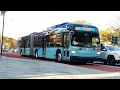 Introducing the Select Bus Services