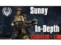 Evolve Sunny In-Depth