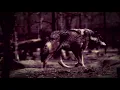 Download Lagu Countess - Pagan Man [official lyric video]
