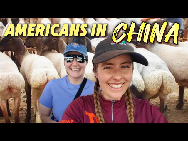 Buying a sheep at my fiancé's village bazaar! Life in rural Xinjiang 🐑 🇨🇳 我的美国闺蜜来新疆啦！一起为我的婚礼晚宴买一只羊！