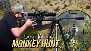 Pushing the Limits: Long Range Varminting with Airguns & Centerfires | Baviaanskloof 2026, Pt.2