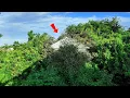 Download Lagu The House No One Dare Go Near – But We Entered And....Part 1