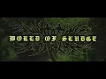 ANNOTATIONS OF AN AUTOPSY - WORLD OF SLUDGE [OFFICAL SINGLE STREAM] (2019) SW EXCLUSIVE