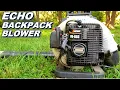 Echo backpack blower leaks fuel from carb