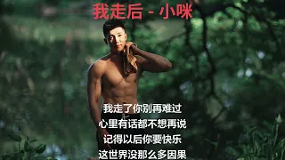 xiao mi after i left song lyrics