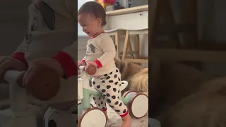 Oakleys New Bike Didn’t Go As Expected… | Sailing Sunday