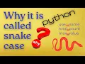 Why it is called snake case Python Variables