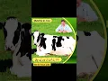 Download Lagu How vet saved another cow #music #instrumental #drfaisallilla #vet #cow #shorts #short #viralshort