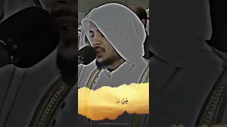 القارئ هيثم الدخين مبكي 