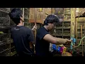 Download Lagu Cari burung cucak ijo langka lagi di pasar burung pramuka - merubetiri - cucak ijo banyuwangi BWI
