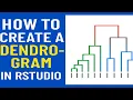 How to Create a Dendrogram in RStudio Hierarchical Clustering Rstudio course 2025