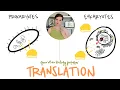 Prokaryotes vs Eukaryotes Translation Differences
