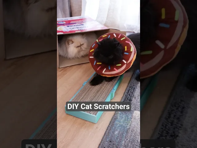 Premium DIY Refillable Cat Scratcher Boxes video thumbnail