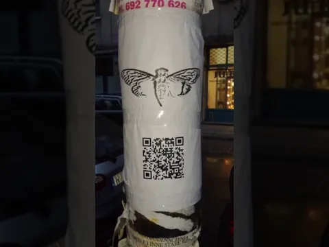 ¿Cuál es el MAYOR Misterio de Internet?🛜