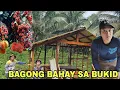 Download Lagu Bagong bahay sa sa niyogan   ganda...Pangunguha ng Rambutan..Sinalakay ng mga uwak at tamsi