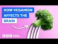 Download Lagu How a vegan diet affects your brain – BBC REEL