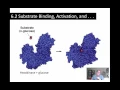 Chapters 5-6 Su2016 P6 Substrate Binding