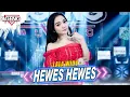 Download Lagu HEWES HEWES - Lala Widy ft Ageng Music (Official Live Music)