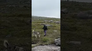 Climbing an Unexplored Wall in Remote Newfoundland 🧗 #Shorts #RockClimbing