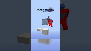 Minecraft s ACTUAL hardest jump