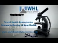 Download Lagu World Health Laboratory.mp4