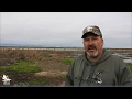Delta Waterfowl February 2019 Migration Report