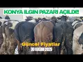 KONYA ILGIN 30 KASIM 2025 CANLI HAYVAN PAZARI BÜYÜKBAŞ GÜNCEL FİYATLARI 