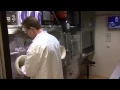 Voorlichtingsfilm Bureau Biosecurity