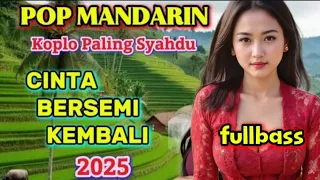 cinta bersemi kembali pop mandarin koplo paling syahdu 2025