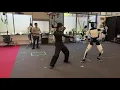 Tesla Optimus Robot Does Kung Fu