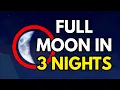 HOW TO KNOW THE NEXT MOON PHASE IN BLOX FRUITS Useful for Kitsune Island race v4 ROBLOX
