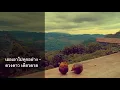 เธอเอาไปทุกอย่าง - ดวงดาว เดียวดาย [Official Visualizer]