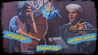 روح المليحة محمود التهامي ومولوتوف ريد ب ل مزيكا صالونات 