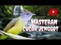 Lagu CUCAK JENGGOT GACOR || MASTERAN CUCAK JENGGOT DURASI PANJANG