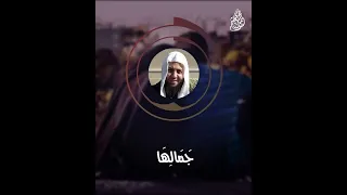 الزواج يجب أن يكون كما أمر الله للشيخ محمود هاشم 