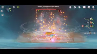 met a hacker in Genshin co op