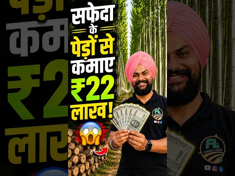 ₹22 लाख की कमाई देखकर चौंक जाएंगे! सफेदा की खेती का ये तरीका जानिए Earn Lakh from Eucalyptus Trees