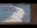 How to fall in love with Malibu l Hollywood Life