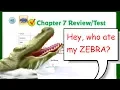 Go Math 5th Grade Chapter 7 Review Part 3 UPDATED