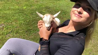 triple l rustic designs zoe plays with goats