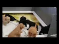 PuppyFinder com Puppies Playing