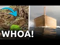 They Fought to Conceal This Evidence That Shows the Bible Is TRUE