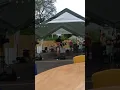 “Wake Me Up” cover by Jesse Cline