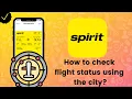 How to check flight status on Spirit Airlines