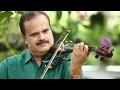 Download Lagu Kabhi kabhi  Heart touching song on Violin by Dr Jobi Mathew Vempala