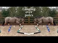 Download Lagu LUNGING OVER POLES MADE EASY
