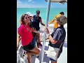 OUT ABOUT on SPI - Dolphin Watch